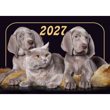 Календар кишеньковий 2027 "ЕУ" /К-23/ "Дві собаки та кіт" 100*70мм (50)