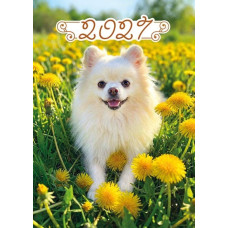 Календар кишеньковий 2027 "ЕУ" /К-26/ "Собачка в кульбабах" 100*70мм (50)