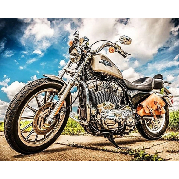 Diamond mosaic "Go to art" /187048/ "Motobike" 30*40 cm