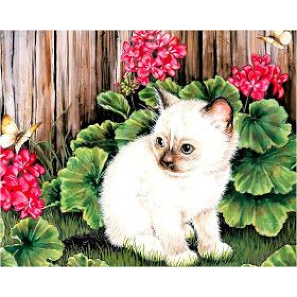 Diamond mosaic "JO" /GLD60767 - GB70661_O/ "Kitten" roll, in PVC, 30*40cm