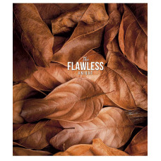 Тетрадь уч. "Genius" 48л. # /3046K/ "The Flawless" УФ-лак (нейт) (10/100)