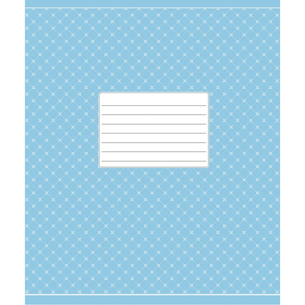 Student's notebook "Schoolboy" 24 sheets == /2577L/ BACKGROUND "Hello city" (25/200)