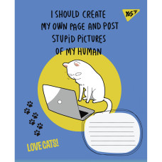 Тетрадь уч. "1В" 48л.== /766027/ "Love cats" (10/200)