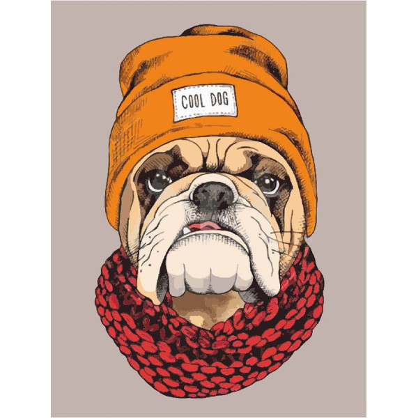 Painting on cardboard with contour "ROSA START" 30*40 "Pop Art Cool Dog" /233/ WITHOUT PAINTS