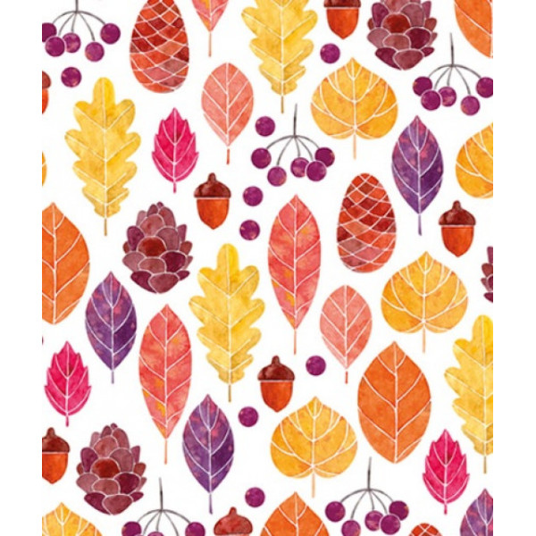 Notebook 104x124/64 sheet "Mandarin" ## int cover MAT LAM Elect. UV Varnish 60g/m2 dis. 19285 (10)