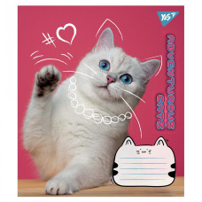 Тетрадь уч. "YES" 24л.== /766656/ "Adventurous cats" (20/320)