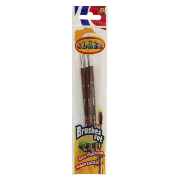 Set of brushes "CLASS" protein (2,4,6) /7613/ (1/50/500)