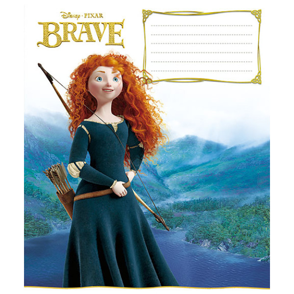 Student's notebook "Schoolboy" 12 sheets == /1776/ "Brave" (30/600)