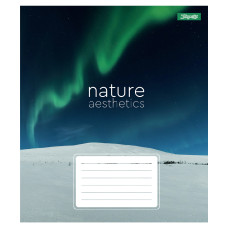 Тетрадь уч. "1B" 96л.# /768108/ "Nature aesthetics" (5/120)