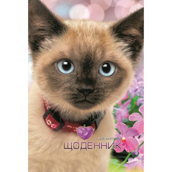 School diary "Mandarin" 2022 tv. Obkl,/ 2234/ MAT/LAM ext. approx. 70g (1/10)