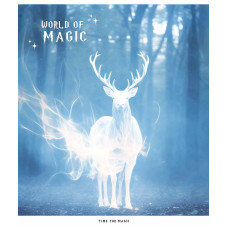 Тетрадь уч. "Star" 60л.# /3431K/ "World of Magic" УФ-лак (нейт) (10/100)