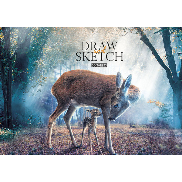 Drawing album "Star" A4/30 sheets/PB-GB-030-243/ on plywood (15/75)