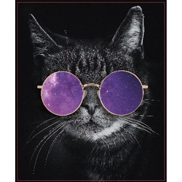 Diamond mosaic "Go to art" /189064/ "March cat" 21*25 cm on 5D cardboard