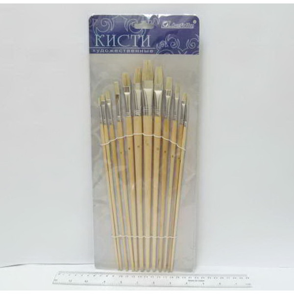 Set of brushes "JO" bristles HX-579- 12 pcs flat dl/handles (1/12/72)