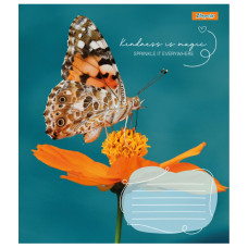 Тетрадь уч. "1В" 24л.== /767298/ "Butterfly" (20/320)