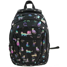 Рюкзак "SAFARI" /24-267M-1/ 3 відд., 41x28x18см (1/10)