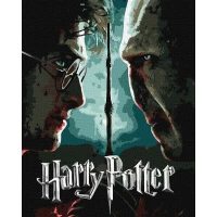 Картина по номерам "Идейка" /KHO5222/ "Harry Potter: Гарри и Волдеморт с красками металлик extra" 40*50см