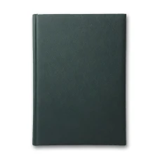Щоденник ЗВ-43 н/дат "Infolk" зелений 168 арк. == 142х203 (10)
