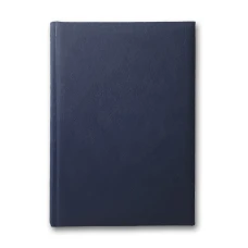 Щоденник ЗВ-43 н/дат "Infolk" синій 168 арк. == 142х203 (10)