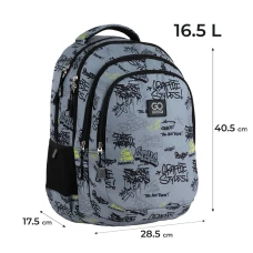 Рюкзак "GoPack" /GO25-162M-4/ Teens 162M-4 (1/10)