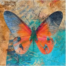 Картина на картоні з контуром "ROSA START" 30*30 „Butterfly 1“ БЕЗ ФАРБ /GPA284322/588/ Картина на картоні з контуром "ROSA START" 30*30 „Butterfly 1“ БЕЗ ФАРБ /GPA284322/588/