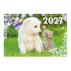 Календар кишеньковий 2027 "ЕУ" /К-22/ "Біле цуценя і кошеня" 100*70мм (50) Календар кишеньковий 2027 "ЕУ" /К-22/ "Біле цуценя і кошеня" 100*70мм (50)