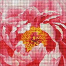 Алмазна мозаїка "Ідейка" /AMO7273/ "Барвиста півонія" 40*40см
