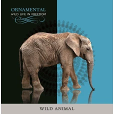 Блокнот 1В756  "Аркуш" "Слон" 80арк.# 198*201  Інтегр.обкл. (1/16)