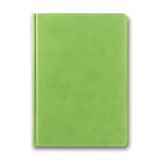 Щоденник ЗВ-43 н/дат "Infolk" фісташковий 168 арк. == 142х203 (1/10)