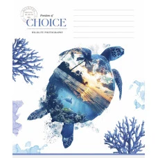 Зошит уч. "Star" 24арк.# /3633K/ ВД-лак (нейт) (25/200)