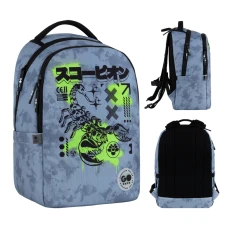 Рюкзак "GoPack" /GO26-135M-5/ Teens 135M-5 (1/10)