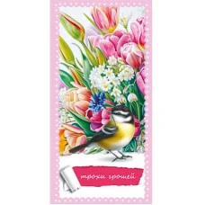 Конверт для грошей "Fiesta" /КВ 25-279/ Трохи грошей (10/300)