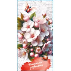 Конверт для грошей "Fiesta" /КВ 25-281/ Витрать на задоволення (10/300)