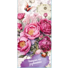 Конверт для грошей "Fiesta" /КВ 25-282/ Витрать на задоволення (10/300)