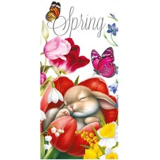 Конверт для грошей "Fiesta" /КВ 25-289/ Spring (10/300)