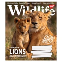 Зошит уч. "YES" 60арк.# /766067/ "Wild life" (10/160)