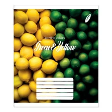 Зошит уч. "Пір'ячко" 96арк.# /ТВ-317/  №1022 Садовi кольори офсетний папір 50-53 г/м2 (10/120)