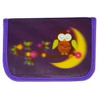Пенал 3D "SMILE" /01 G/ "Сова" 1 від.,2 відв.,без напов. 19,5*13*3,5см  (1/72)