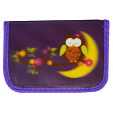 Пенал 3D "SMILE" /01 G/ "Сова" 1 від.,2 відв.,без напов. 19,5*13*3,5см  (1/72)