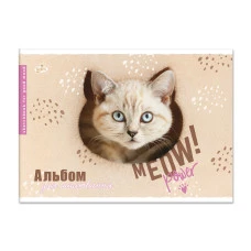 Альбом для малювання "Бріск" А4/12арк./AB-12/ 100г/м.кв. скоба (24/192)