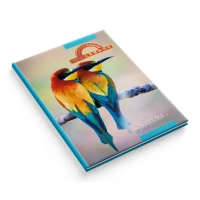 Дневник школьный "Самый умный" тв.обкл. /1В2704/ СЕНДВИЧ "Птички", мат лам-выб УФ-лак+тыс (1/20)