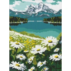 Алмазная мозаика "Идейка" /AMO7803/ "Цветящиеся ромашки" 30*40см