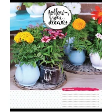 Зошит уч. "ЗУ" 60арк.== /795022/ "Follow Dreams-17"  (10/160)