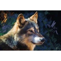 Алмазная мозаика "JO" /GLD60676 - GB70253_O/ "Волк" рулон, в PVC, 30*40см