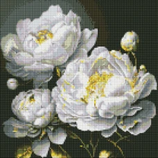 Алмазна мозаїка "Ідейка" /AMO7609/ "Бездоганна краса" 40*40см