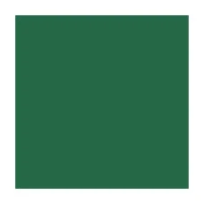 Папір для дизайну A4 (21*29.7см) "Folia" Fotokarton №58 Хвойно-зелений, 300г/м2 (10)