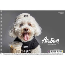 Альбом для малювання "Star" А4/20арк./PB-SC-020-8567/ спіраль, 100г/м2, УФ-лак (9/108)