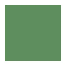 Папір для дизайну A4 (21*29.7см) "Folia" Fotokarton №53 Зелений мох, 300г/м2 (10)