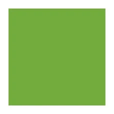 Папір для дизайну A4 (21*29.7см) "Folia" Fotokarton №55 Трав'яно-зелений, 300г/м2 (10)