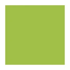 Папір для дизайну A4 (21*29.7см) "Folia" Fotokarton №50 Салатовий, 300г/м2 (10)